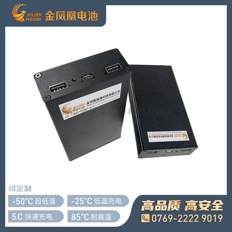 JFH-850-00（3.7V15Ah） 超低温户外仪器电池